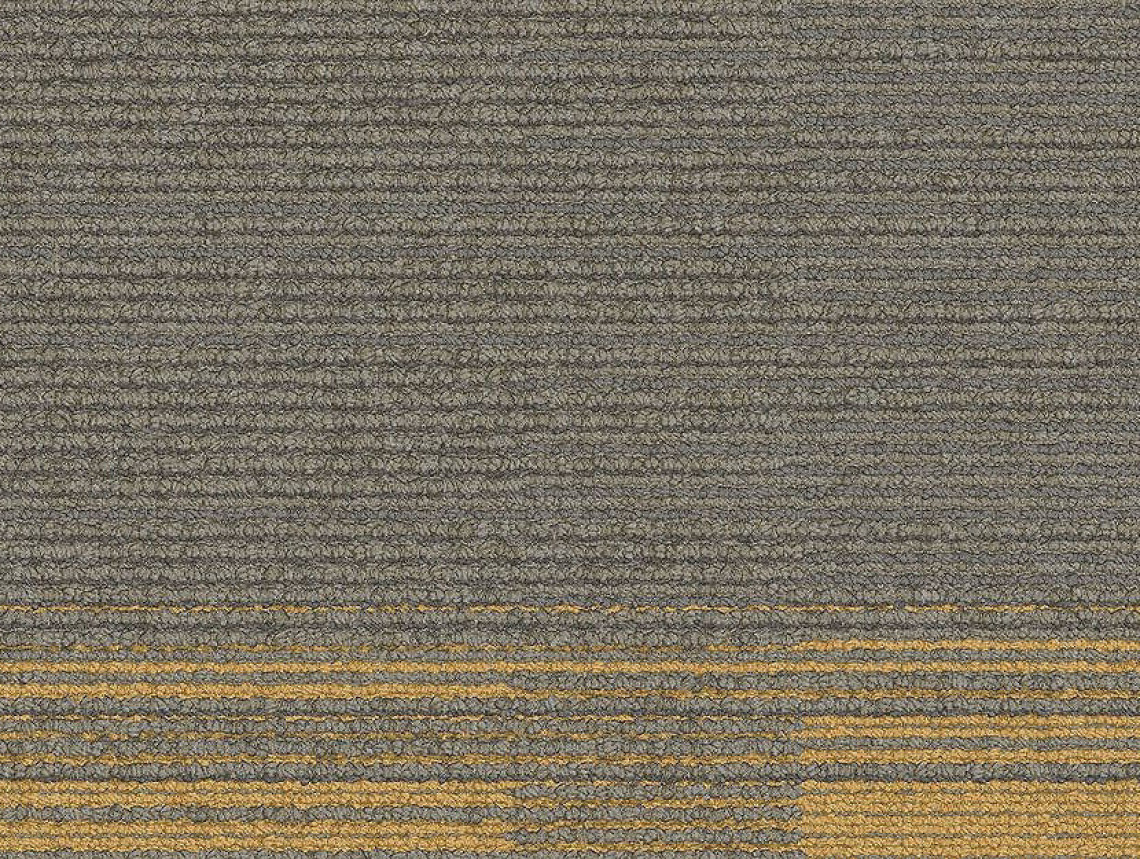 Off Line - 104333 Sage/Canary